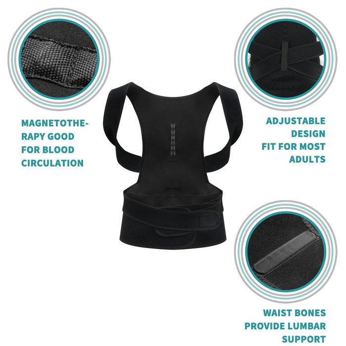 Orthopaedic Magnetic Therapy Support Belt